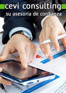 Cevi Consulting asesoría de empresas en Madrid